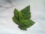 20130507_001.jpg