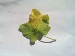 20130507_002.jpg