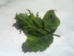 20130507_003.jpg