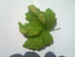 20130515_004.jpg