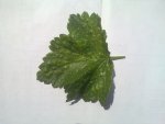 20130515_005.jpg