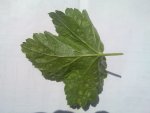 20130515_006.jpg
