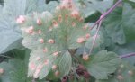 20130530_185034.jpg