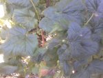 20130820_172947.jpg