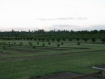 hazelnuts9.jpg