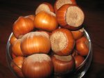 IMG_3170_mini.JPG