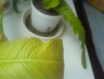 DSC00029.JPG