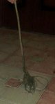 IMG-20140304-WA0001.jpg