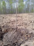 Новое изображение 5.JPG