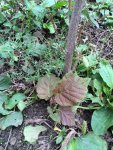 IMG-20140914-WA0013.jpg