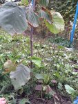 IMG-20140914-WA0010.jpg