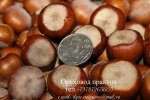 21 июн 098.jpg