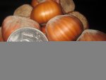 IMG_3169.JPG