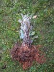 DSCF7173.JPG