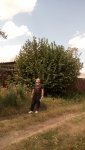 DSC_0189333.jpg