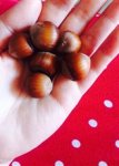 ^B9ECA76C1897C1E2A33786C01041EA55140E57D6D409F357FF^pimgpsh_thumbnail_win_distr.jpg