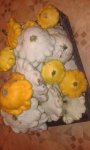 IMG-20150717-WA0003.jpg