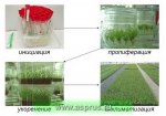 in_vitro_serduk_pr_01_1.jpg