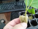2016-06-23 15-17-16.jpg