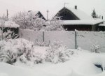 image1.jpg