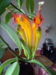 IMG-20160821-WA0004.jpg