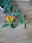 IMG-20160821-WA0006.jpg