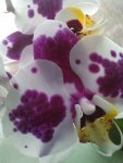 IMG-20160821-WA0007.jpg