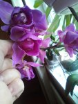 IMG-20160821-WA0008.jpg