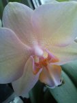IMG-20160821-WA0009.jpg