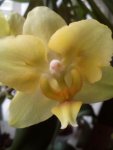 IMG-20160821-WA0010.jpg