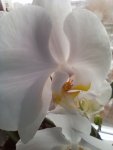 IMG-20160821-WA0011.jpg