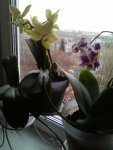 IMG-20160821-WA0012.jpg