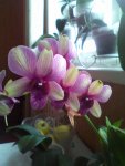 IMG-20160821-WA0013.jpg