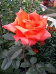 IMG-20160821-WA0023.jpg