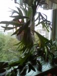 IMG-20160821-WA0035.jpg