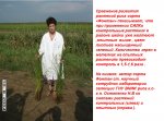 силк2.jpg