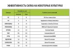 силк8.jpg