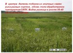 силк24.jpg