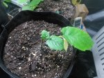2017-02-22 22-15-03.jpg