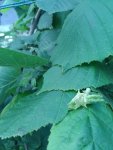 20160522_163937.jpg