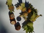 20160831_144038.jpg