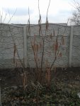 20170312_145932.jpg