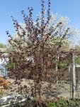 20160418_115625.jpg
