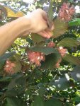 20160624_082125.jpg