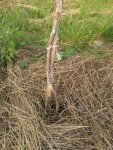 IMG-20170708-WA0089.jpg