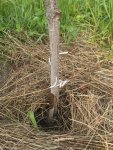 IMG-20170708-WA0090.jpg