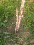 IMG-20170708-WA0092.jpg