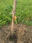 IMG-20170708-WA01.jpg