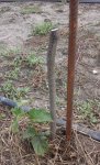 20170715_141447.jpg