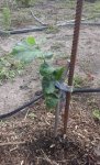 20170715_141637.jpg